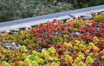 the cost of Downpatrick green roof installation