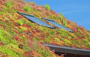 Downpatrick living roof systems