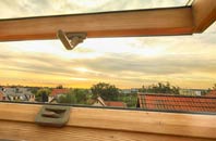 rated Downpatrick roof window companies